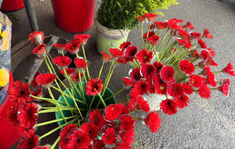 Đồ cúng Thần Tài vắng người mua