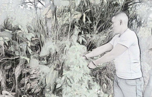 Bắt giữ nghi phạm chặn đường cướp vàng của người phụ nữ ở Đà Nẵng