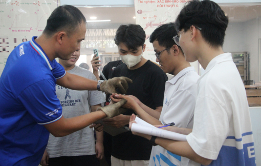 Học phí nhiều trường đại học ở TPHCM tăng mạnh, cao nhất gần 47%