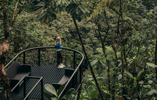 Đi đâu để vừa khám phá thiên nhiên vừa chung tay gánh sứ mệnh bảo tồn?