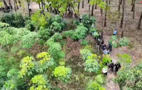 Công an TPHCM dùng flycam theo dõi, triệt phá tụ điểm đánh bạc