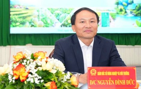 Rút tên Giám đốc Sở Nông nghiệp và Môi trường TP Huế khỏi danh sách ứng cử đại biểu HĐND TP Huế