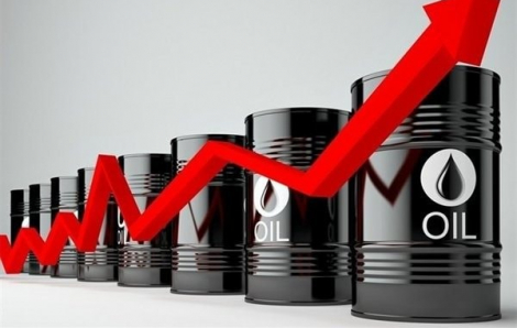 Cổ phiếu dầu khí 'tím trần': Cơ hội cho nhà đầu tư?