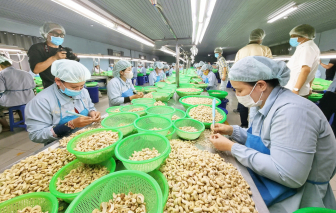 Doanh nghiệp lao đao vì xung đột vùng Vịnh và lãi suất tăng cao