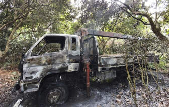 Xe tải gắn cẩu di chuyển vướng dây điện, tài xế bị điện giật tử vong