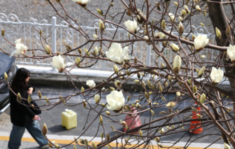 Người Hàn Quốc ít hài lòng với cuộc sống, tỷ lệ tự tử không ngừng tăng