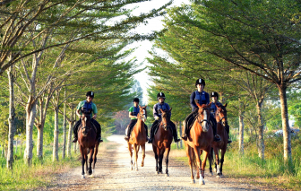 Những bóng hồng trên lưng ngựa