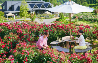 Du lịch Nhật Bản quá tải, vẫn muốn đón thêm khách Việt