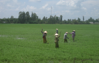 Những người phụ nữ gieo mầm xanh