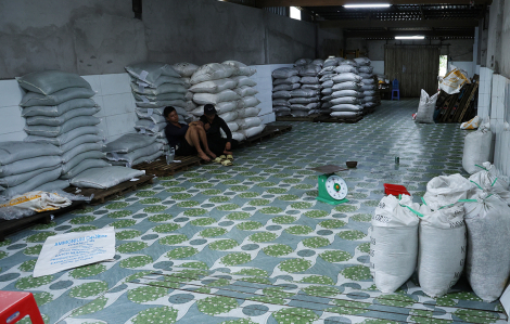 Bắt quả tang vụ sản xuất, vận chuyển phân bón số lượng lớn ở An Giang