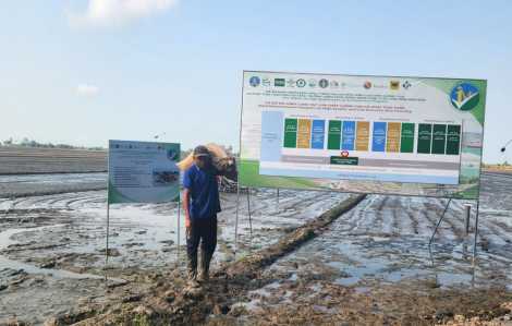 Đề án 1 triệu ha lúa chất lượng cao, nông dân tăng thêm lợi nhuận 6 triệu đồng/ha/vụ