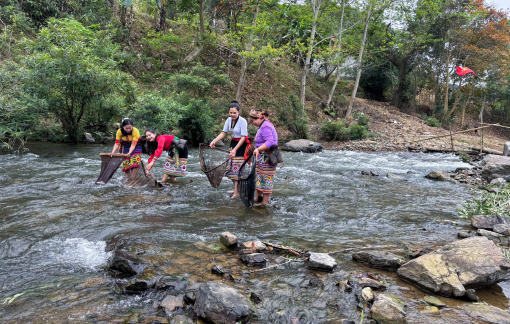 Dân bản cùng bắt cá đặc sản, mở tiệc chiêu đãi khách bên bờ suối