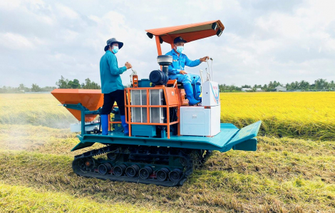 Miền tây sản xuất lúa phát thải thấp vượt xa kế hoạch