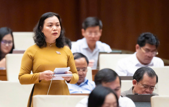Phó trưởng đoàn ĐBQH TPHCM Huỳnh Thị Phúc: Đưa tiếng nói cử tri vào từng quyết sách