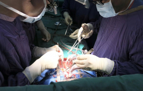 Bộ Y tế chấn chỉnh hiến, ghép tạng sau các vụ buôn bán trái phép