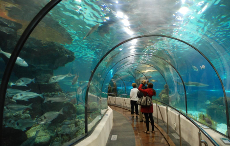 Gợi ý địa điểm vui chơi và bãi biển gần Hà Nội cuối tuần