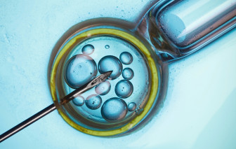 Điều trị hiếm muộn không làm tăng nguy cơ ung thư tổng thể