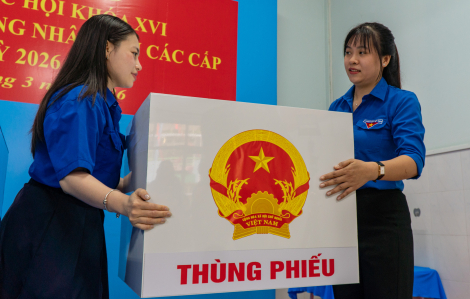 Tuổi trẻ TPHCM xung kích hỗ trợ cử tri tại các điểm bầu cử