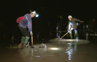 “Đội quân tóc bạc” miệt mài trồng rừng chắn sóng
