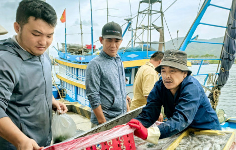 Trách nhiệm với nghề cá và vùng biển của mình