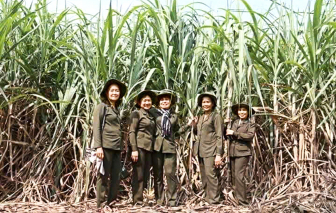 Từ nông trường xanh đến khu dự trữ sinh quyển thế giới - Bài 1: Gặp lại những cô gái từng một thời “áo xanh vỡ đất”