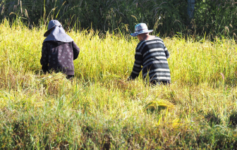 Bữa cơm nghèo yêu thương