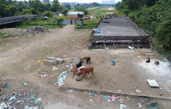 Dự án Vành đai 2 TPHCM ngổn ngang sau nhiều năm triển khai