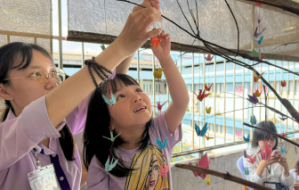 Những chú hạc giấy 'chở' điều ước nhỏ xinh của bệnh nhi