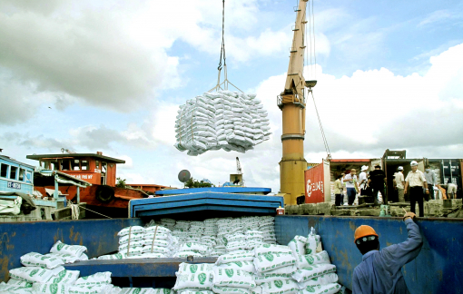 Tìm lối ra cho lúa gạo giữa xung đột ở Trung Đông