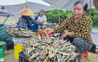 Giới trẻ đổ xô check-in, 'cá nhà nghèo' bất ngờ làm giàu cho làng biển