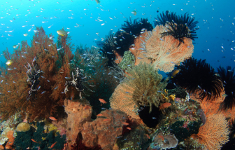 Khí hậu Trái đất đang mất cân bằng 'hơn bao giờ hết'