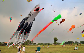 Ra vùng ven ngắm diều khổng lồ trị giá 45 triệu đồng, chỉ có 3 con trên thế giới