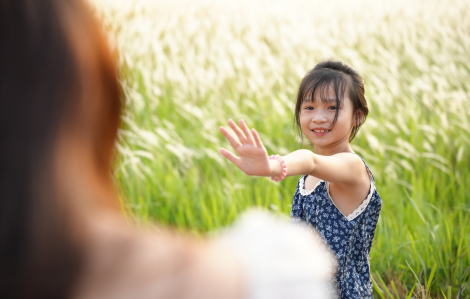 “Tọa độ sống ảo” mới: Cánh đồng cỏ lau thơ mộng giữa làng đại học