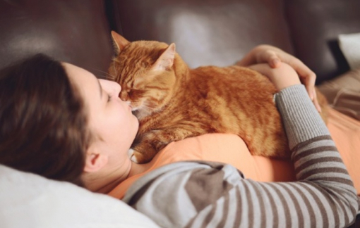 Bạn trai ép tôi chọn anh ấy hoặc mèo