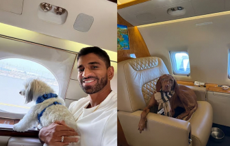 Chi hàng chục ngàn euro di tản thú cưng giữa chiến sự Trung Đông