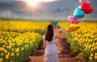 Nếu cả đời này không rực rỡ thì sao?