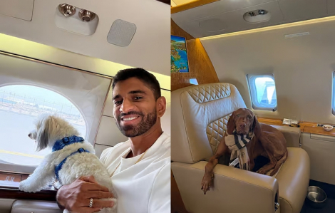 Chi hàng chục ngàn euro di tản thú cưng giữa chiến sự Trung Đông