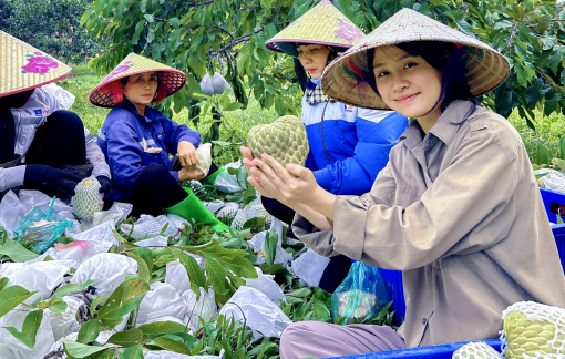 Đưa “hương vị quê” bay xa nhờ nền tảng số