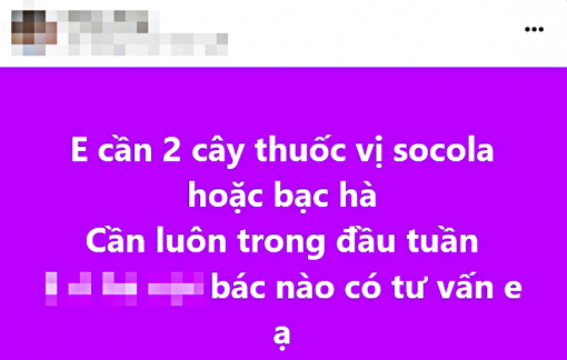 Học sinh đua nhau sưu tầm thuốc lá thơm