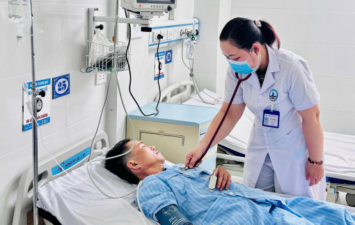 Người đàn ông bị ong đốt nguy kịch khi đang cày đất ngoài ruộng