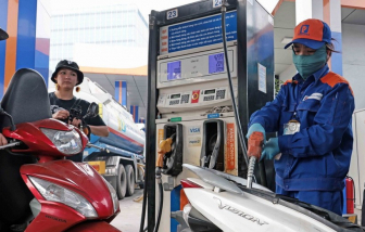 Giảm thuế bảo vệ môi trường, giá trị gia tăng và tiêu thụ đặc biệt đối với xăng dầu