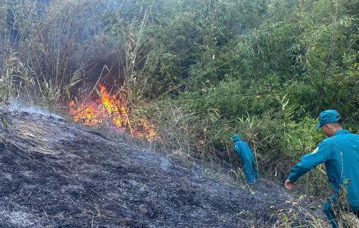 Huy động 100 người khống chế cháy rừng trên đèo Bảo Lộc