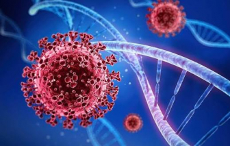 Bộ Y tế: Biến thể COVID-19 've sầu' nguy cơ thấp hơn Omicron