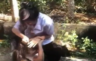 Mâu thuẫn trên mạng xã hội, nữ sinh lớp 7 bị bạn cùng trường đánh phải nhập viện