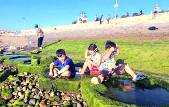 Mùa rêu về nhớ bát canh của mẹ