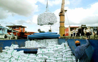 Xuất khẩu gạo gặp khó vì chiến sự Trung Đông