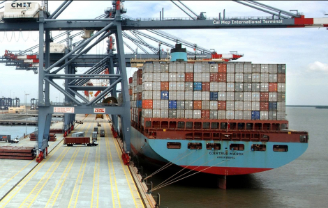 Doanh nghiệp vận tải biển, chủ tàu... không được tự ý tăng cước, phí