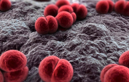 Bé 4 tháng tuổi có tiêm vắc xin ngừa bệnh não mô cầu được không?