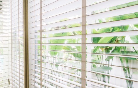 10 cách giảm nhiệt cho ngôi nhà trong mùa nắng nóng