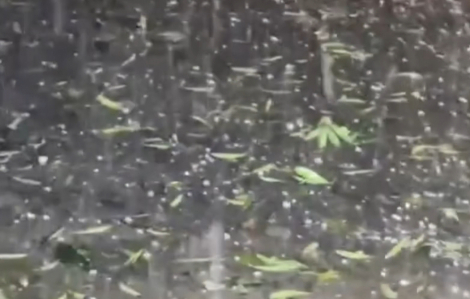 Mưa đá ở Hà Nội lúc rạng sáng